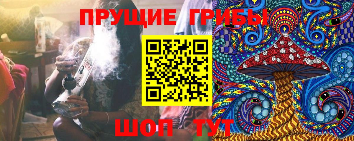 Галлюциногенные грибы Cubensis Нижнекамск