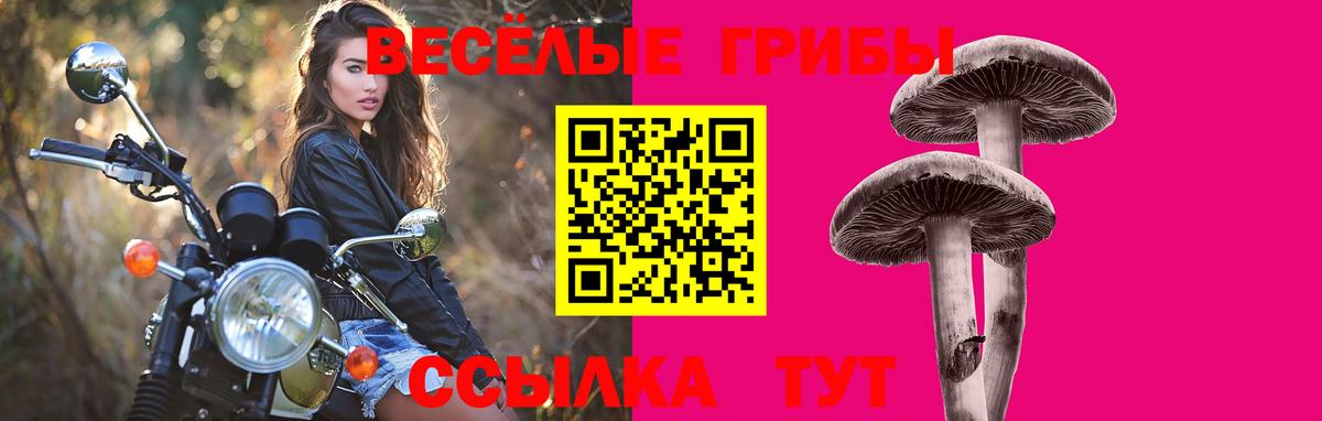 Псилоцибиновые грибы MAGIC MUSHROOMS  хочу наркоту  Вход с VPN  Нижнекамск  Псилоцибиновые грибы Magic Shrooms 